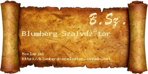 Blumberg Szalvátor névjegykártya